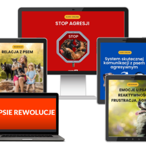 emo-1024×819-1 Pakiet kursów i bonusów o wartości 1410,00 zł: [Kurs online: Stop Agresji (wartość 399,00 zł).................Bonus#1: Kurs online: System komunikacji z psem agresywnym (wartość 499,00 zł).........................Bonus#2: Case Studies: Psie Rewolucje(wartość 97,00 zł)................................Bonus#3: Webinar: "Emocje u psa: reaktywność, frustracja, agresja"(wartość 99,00 zł) + Bonus#4: Webinar: "Relacja z psem"(wartość 119,00 zł) + Bonus #5:Podcasty: "Prawdziwe historie o agresji" (wartość 197,00 zł)