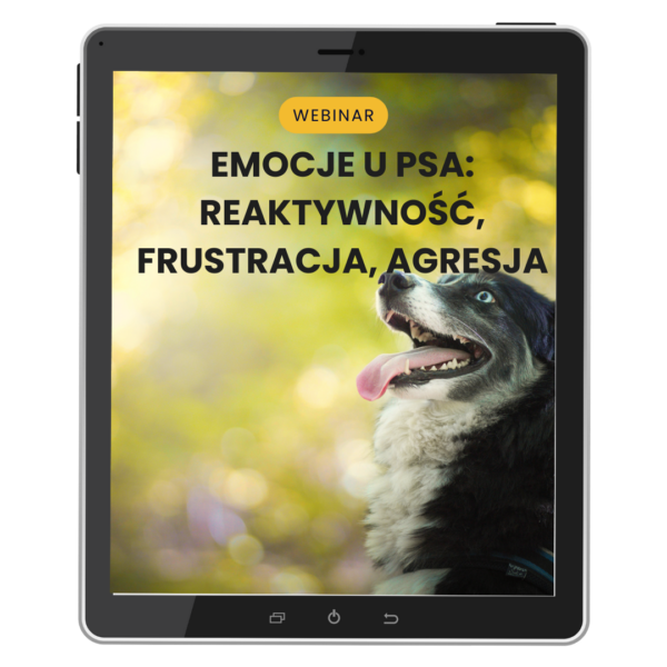 Bonus #3: Webinar: "Emocje u psa: reaktywność, frustracja, agresja" (wartość 99,00 zł)