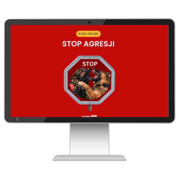 Kurs online: Stop Agresji (wartość 399,00 zł)