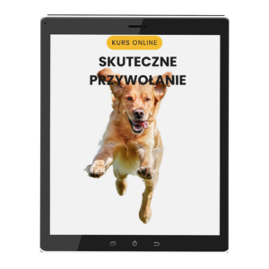 SKUTECZNE PRZYWOŁANIE PSA JAK WYSZKOLIC PSA Kurs online: Skuteczne Przywołanie cena regularna 199,00 zł
