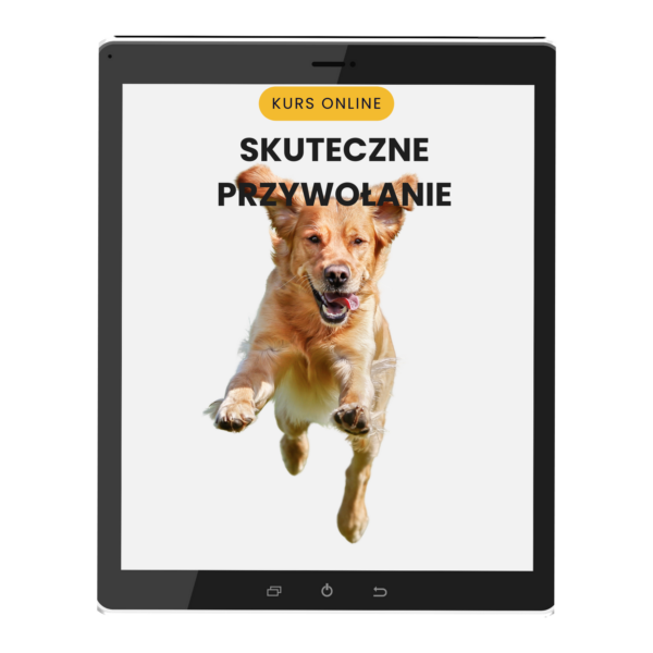 Kurs online: Skuteczne Przywołanie cena regularna 199,00 zł