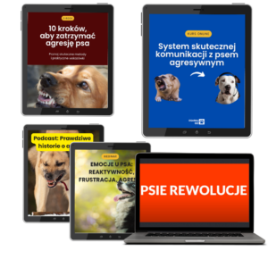 pakiet Pakiet: E-book 10 kroków, aby zatrzymać agresję psa + BONUSY o wartości: 991,00 zł- ZA DARMO