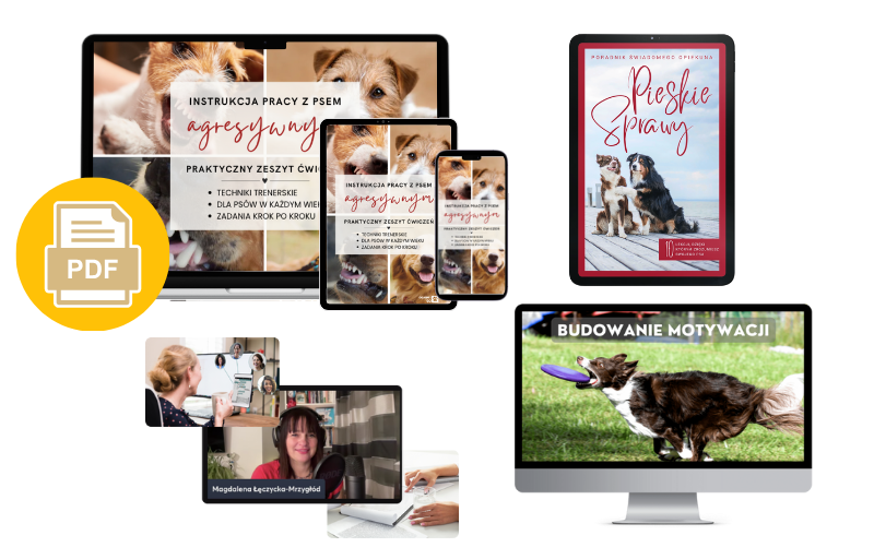 Copy of Strony Zeszytu Ćwiczeń (1)